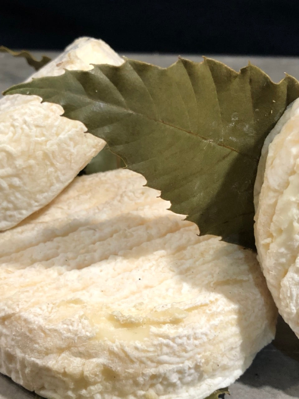 Mothais sur feuille fermier